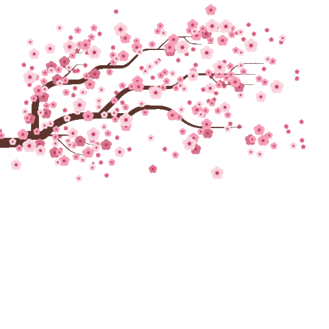 Gif 4